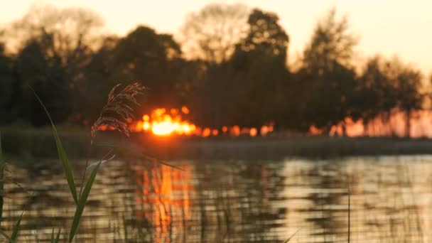 Um belo pôr do sol no lago — Vídeo de Stock