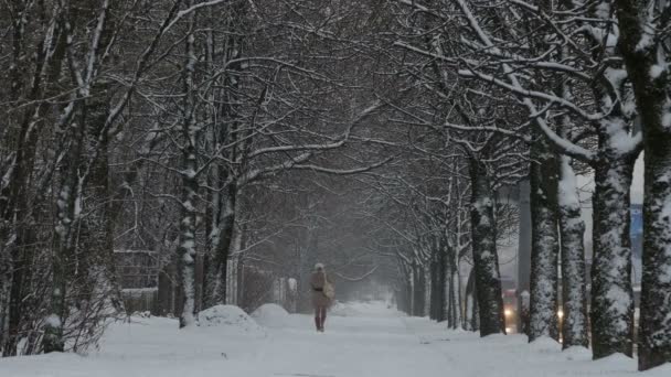 Женщина, гуляющая в парке зимой — стоковое видео
