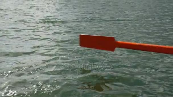 Old wooden paddle bounces into lake water. — Stock Video