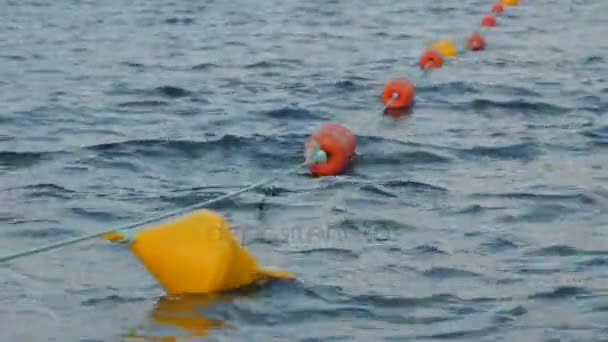 Boyas de colores flotando en un puerto marítimo . — Vídeo de stock