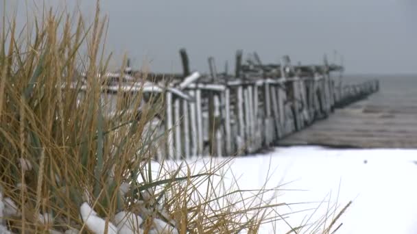 Wellen brechen auf der Buhne an der Ostsee — Stockvideo