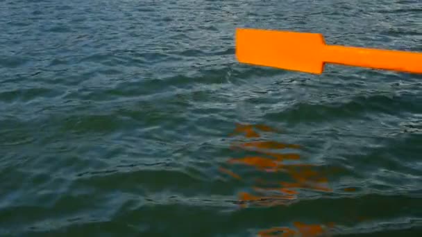 Old wooden paddle bounces into lake water. — Stock Video