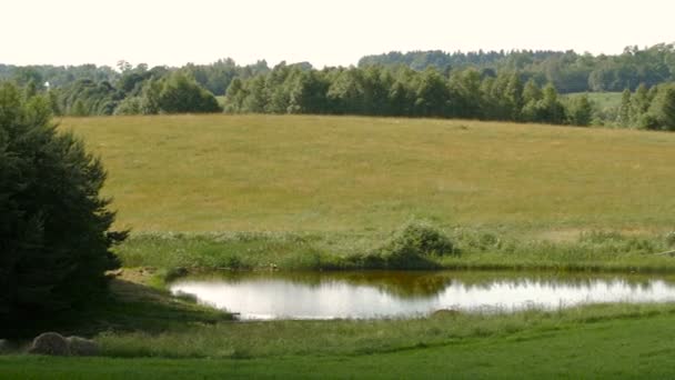 Vue panoramique du champ 