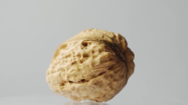 Macro one walnut isolated on white — Stock Video