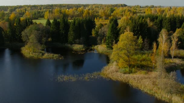 Барвистий осінній пейзаж. Тло природи — стокове відео