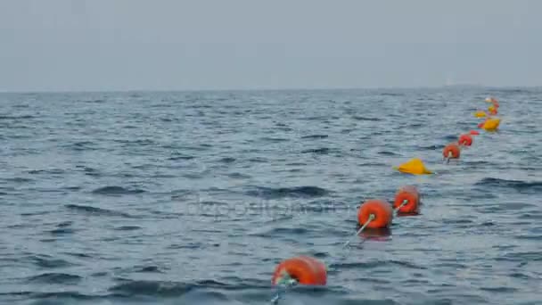 Colored buoys floating in a seaport. — Stock Video