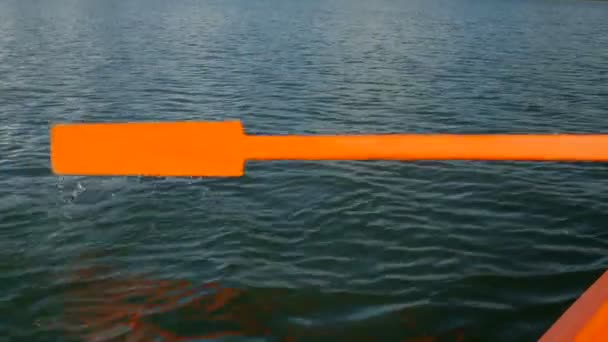 Старые деревянные весла скачут в озерную воду . — стоковое видео