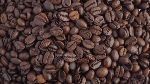 Kávová zrna na rotační stojan closeup — Stock video