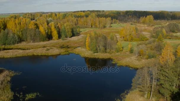 Paysage d'automne coloré. 