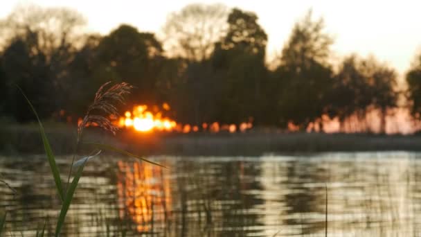 Um belo pôr do sol no lago — Vídeo de Stock