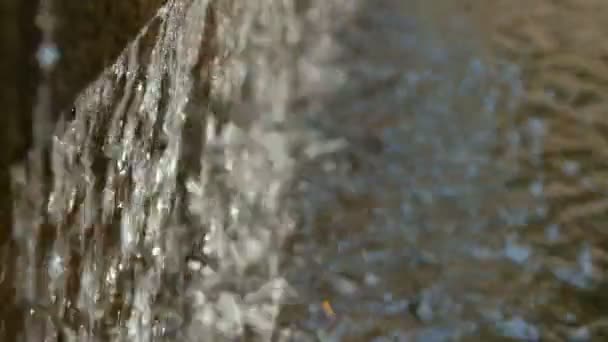 Close-up van het water druipende, in het zonlicht. — Stockvideo