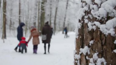Ağaçlar, parkta yürüyüş çocuklu bir aile Winter park kar ile kaplı.