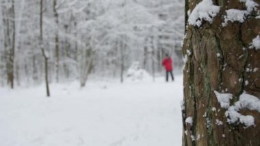 Ağaçlar, parkta yürüyüş bebek arabası ile bir aile Winter park kar ile kaplı.