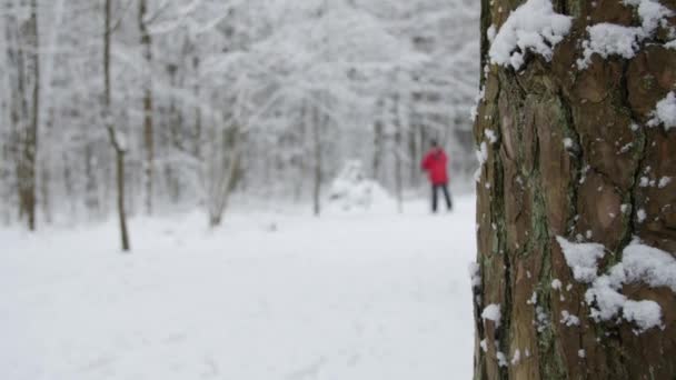 Χειμερινό πάρκο με χιόνι κάλυψε δέντρα, μια οικογένεια με καροτσάκι μωρού βόλτα στο πάρκο. — Αρχείο Βίντεο
