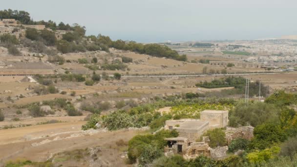 Dombos táj színes mezőgazdasági földterület Málta szigetén. — Stock videók