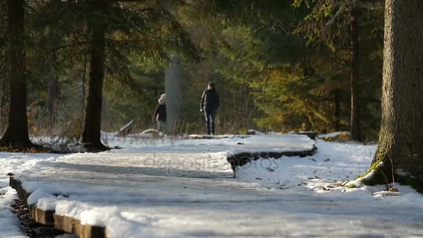 これは、晴れた日に手を繋いでいる雪で美しい冬の公園を歩いて愛の若いカップルのショット. — ストック動画