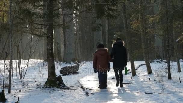 To jest strzał młode rodziny, chodzenie w malowniczym parku zimy ze śniegiem w słoneczny dzień. — Wideo stockowe