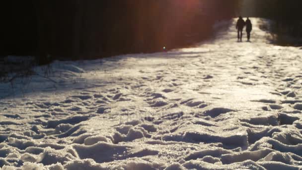 Dies ist eine Aufnahme von einem jungen verliebten Paar, das im malerischen Winterpark spazieren geht, mit Schnee Händchen haltend an einem sonnigen Tag. — Stockvideo