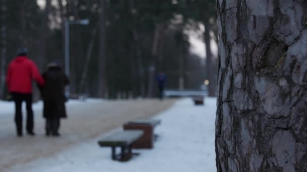 Parque de invierno con terreno cubierto de nieve. La gente borrosa . — Vídeo de stock