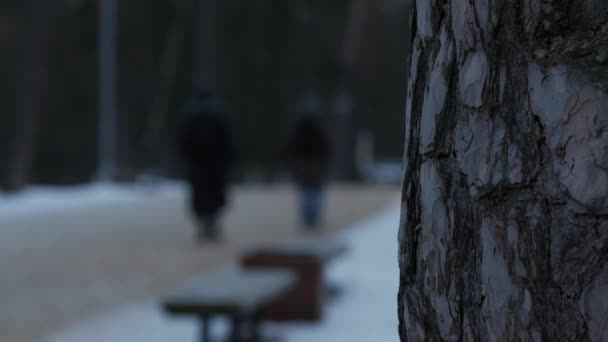 Parque de invierno con terreno cubierto de nieve. La gente borrosa . — Vídeo de stock