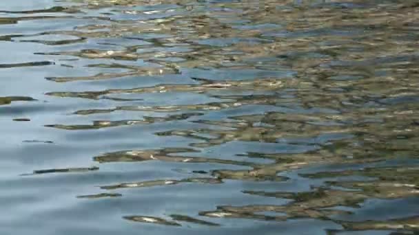 Wateroppervlak met rimpelingen en zonlicht reflecties — Stockvideo