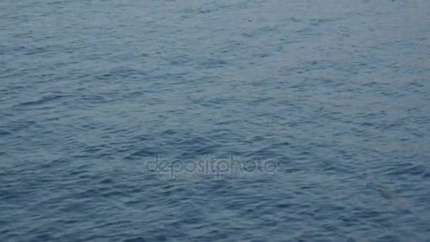 Размытые водные волны с поверхностью, отражающей солнечный фон - вид с движущейся лодки — стоковое видео