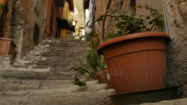 Pots décoratifs avec des fleurs dans la rue de la ville italienne . — Video