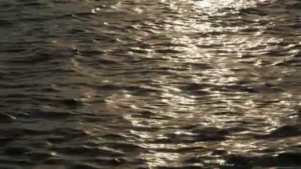 Tranquille eau de lac chatoyante au coucher du soleil . — Video