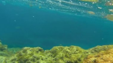 Deniz şnorkel bakış açısı ile denizde balıkçı.