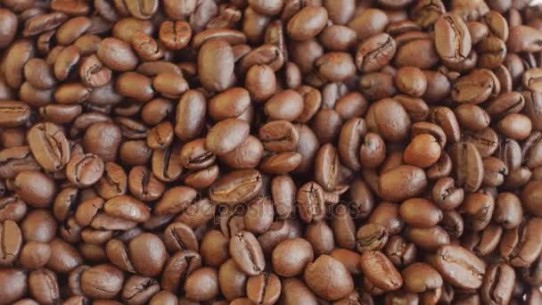 Coffee beans on rotating stand closeup — Stock Video