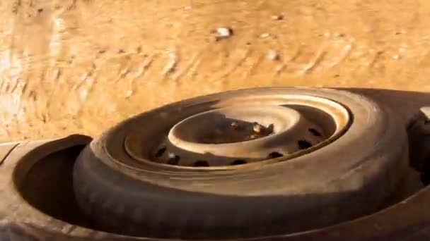 Rolling rubber tire of dark blue car on the asphalt road. — Stock Video