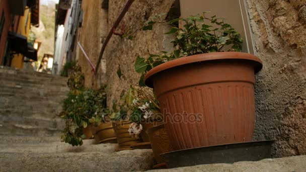 Pots décoratifs avec des fleurs dans la rue de la ville italienne . — Video