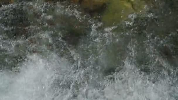 Movimiento lento de agua limpia que fluye sobre las piedras — Vídeos de Stock