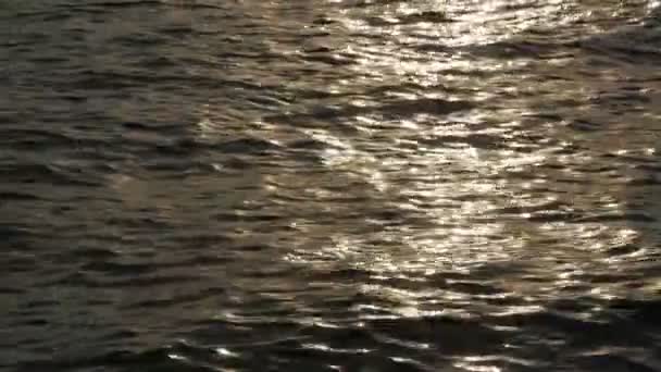 Třpytivé klidné jezerní vody při západu slunce. — Stock video