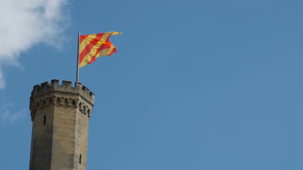 Kasteeltoren met de vlag. — Stockvideo