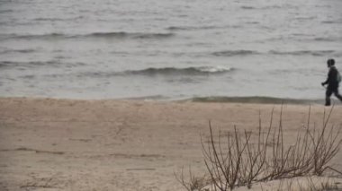 Rekreasyon kişi, Palanga, Litvanya sahilinde Nordik yürüyüş.