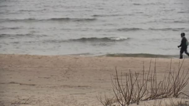 Скандинавская прогулка по пляжу в Паланге, Литуания . — стоковое видео