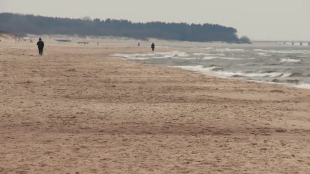 リトアニア、リトアニアのビーチでレクリエーション人ノルディックウォー キング. — ストック動画