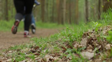 İnsan faaliyetleri ile Park arka plan, Bahar ve yaz sezonu bulanık. Koşucu