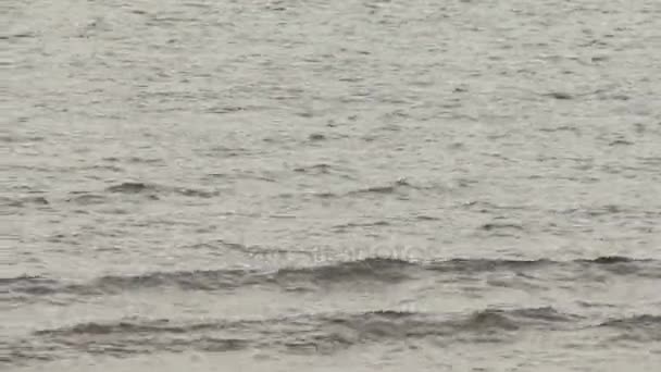 海と曇り、広角撮影で波のビュー — ストック動画