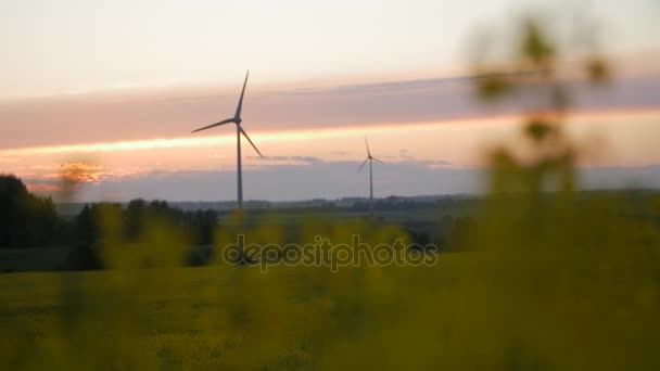 Wind power station in veld met verkrachting olie zaadplanten. — Stockvideo
