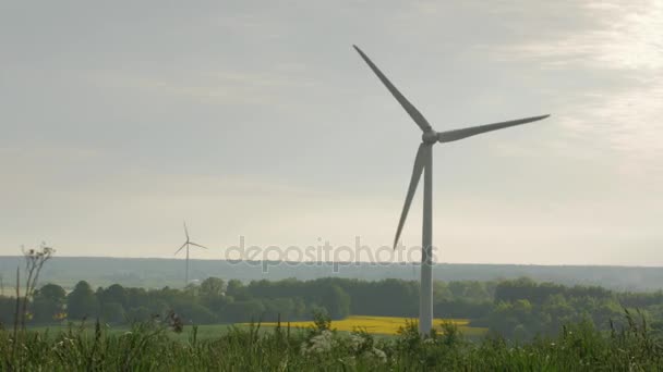 Saubere und erneuerbare Energien, Windenergie, Turbine, Windrad, Energieerzeugung. — Stockvideo