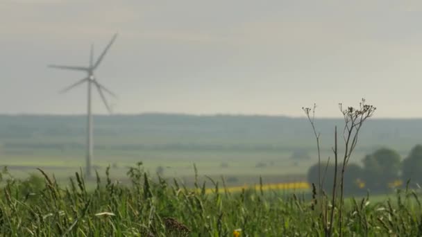 Energía limpia y renovable, energía eólica, turbina, molino de viento, producción de energía . — Vídeos de Stock