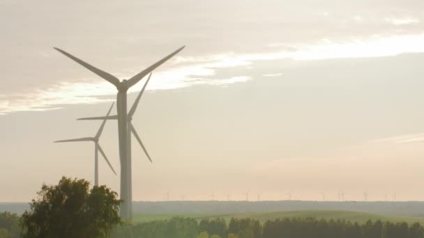 Éoliennes isolées sur fond de ciel couvert — Video