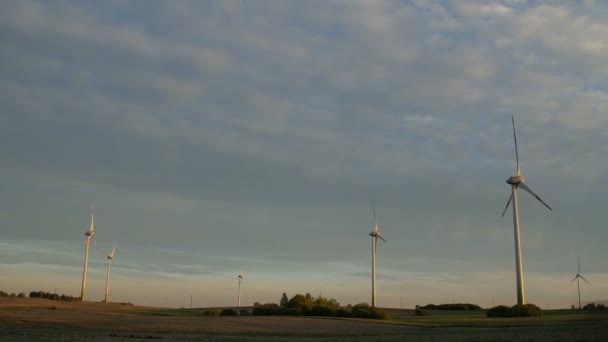 Rijden door het windpark in de avond. — Stockvideo