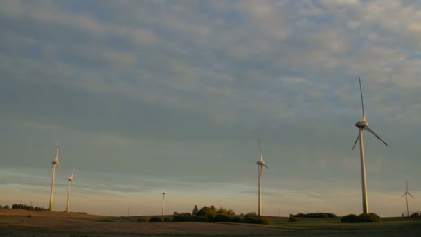 Rijden door het windpark in de avond. — Stockvideo