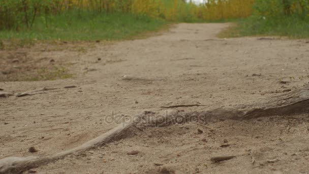 Крупним планом збираються ноги на шляху — стокове відео