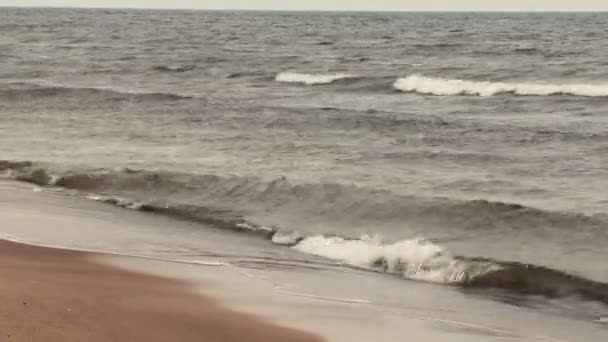 La costa del Mar Báltico en un día nublado lluvioso . — Vídeos de Stock