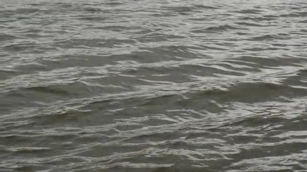 Surface des ondulations d'eau .