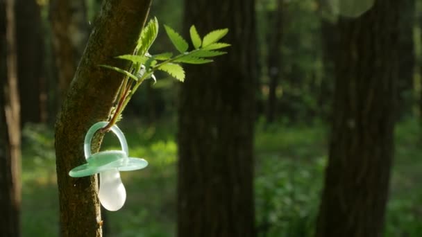 Dummie colgando de un árbol — Vídeos de Stock